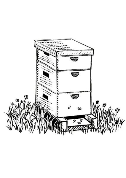 Улей раскраска