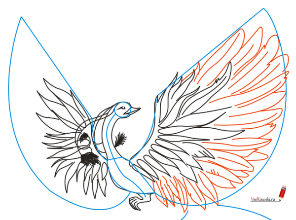 Сказочная птица раскраска