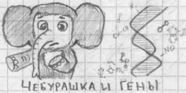 Рисунки карандашом прикольные