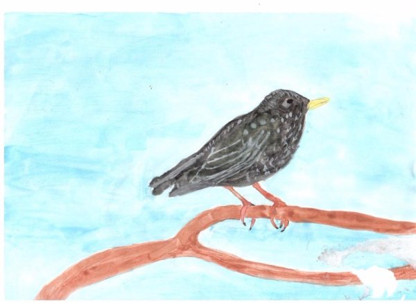 Снегирев Геннадий скворец