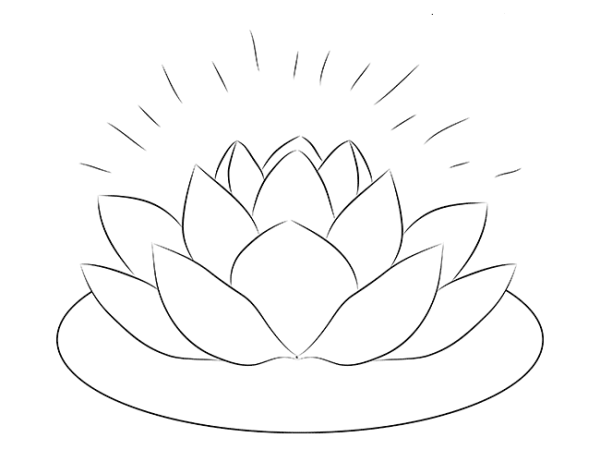 Кувшинка рисунок карандашом