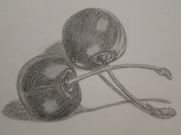 Фрукты карандашом для начинающих