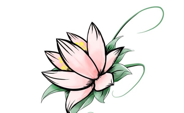 Пышный цветок рисунок