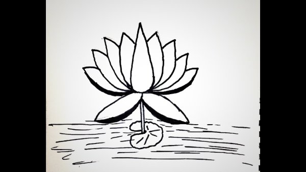 Цветок лотоса контур