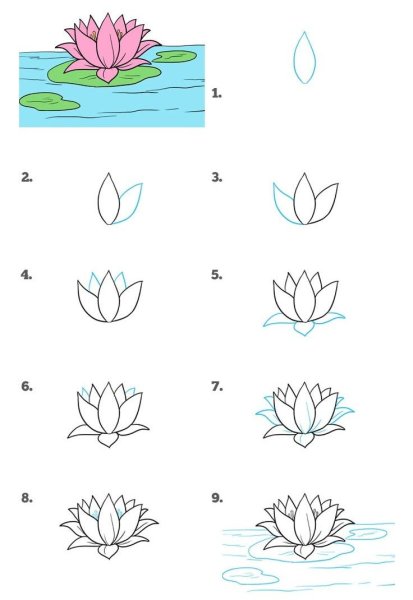 Кувшинка белая водяная Лилия рисунок