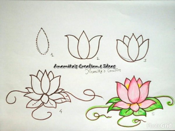 Цветок лотоса рисунок для срисовывания
