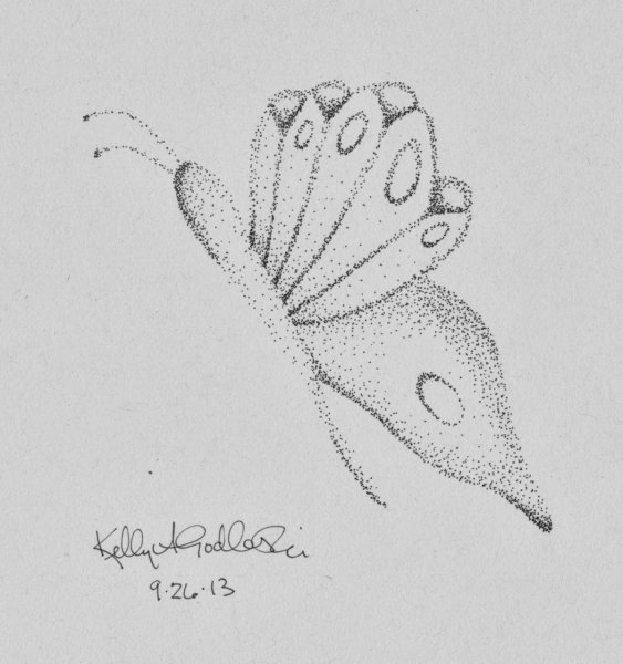 Точечная Графика рисунки легкие