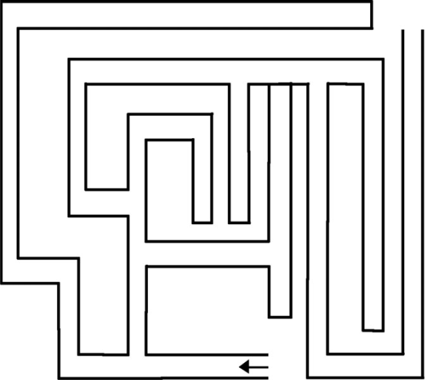 Тест Векслера Лабиринт 4