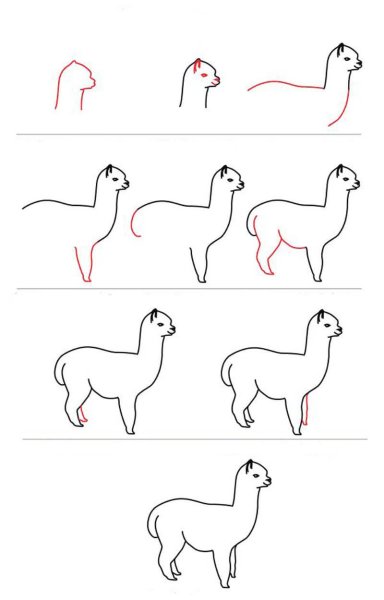 Лама карандашом