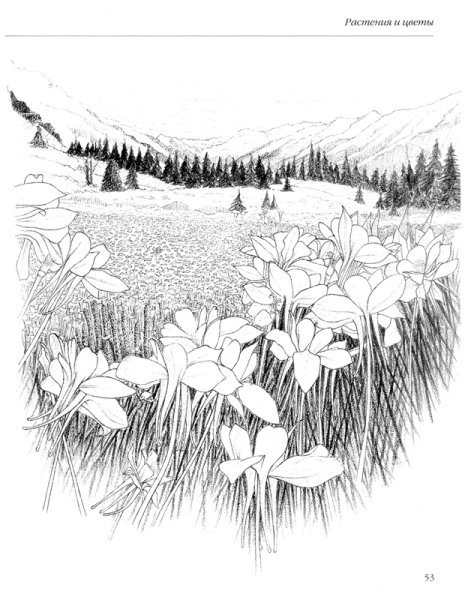 Графический пейзаж карандашом для начинающих