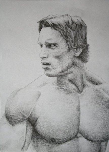 Арнольд Шварценеггер рисунок карандашом