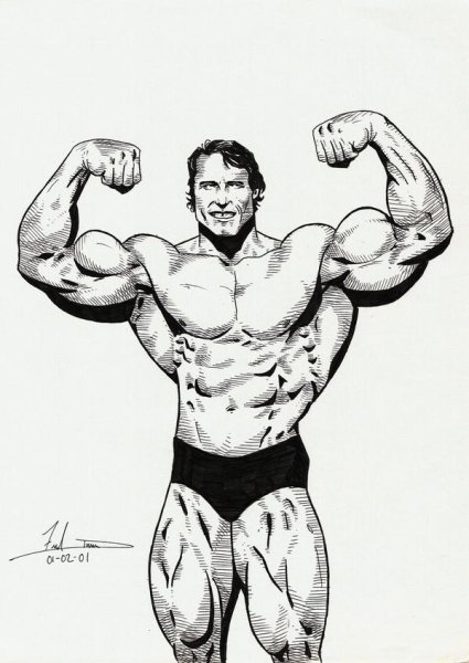 Рисунок Арнольда Шварценеггера