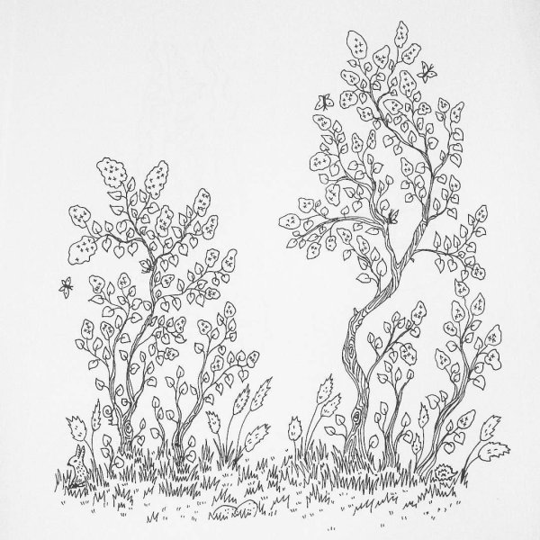 Кустарник рисунок