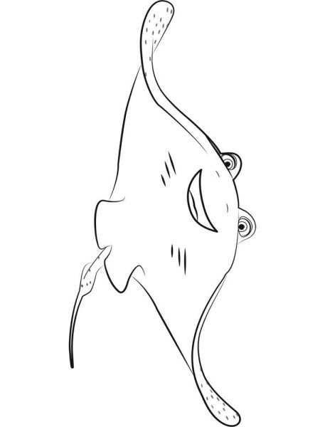 Рыба Скат раскраска