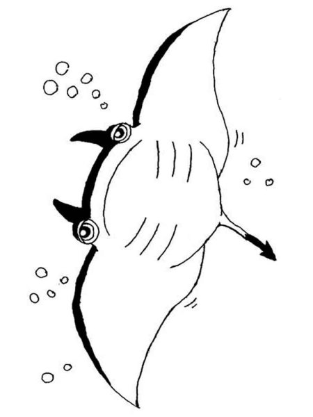 Рыба шар раскраска