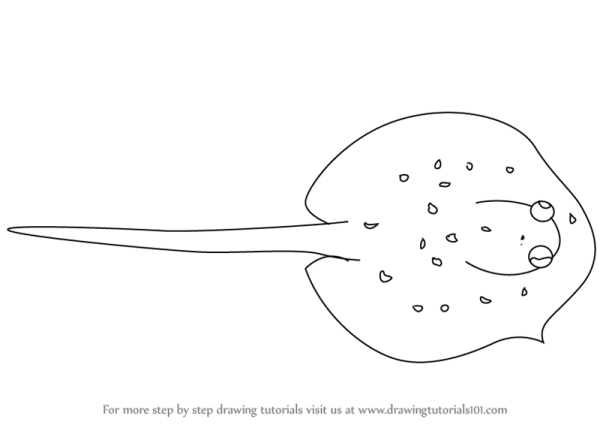 Рыба Скат нарисовать карандашом поэтапно