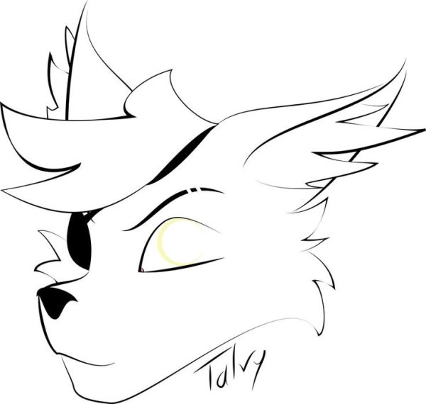 Фокси для срисовки аниме