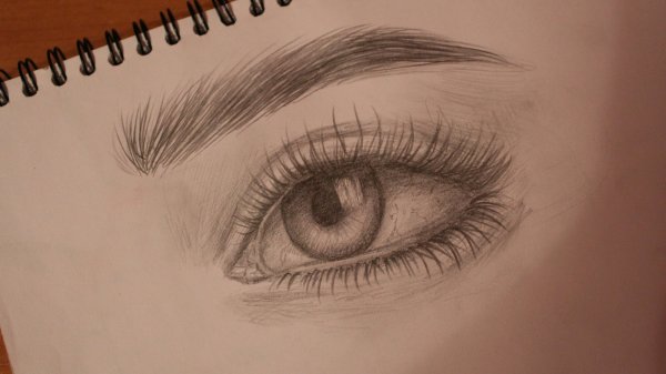 Рисунки карандашом