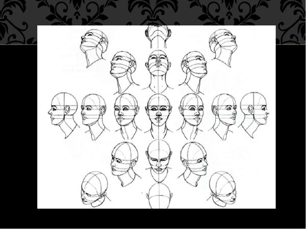 Повороты и ракурсы головы