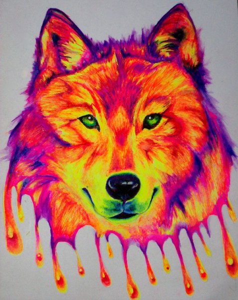 Эскиз неоновый волк