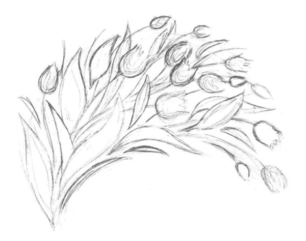 Букет цветов рисунок карандашом