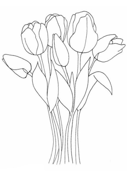 Букет из тюльпанов раскраска