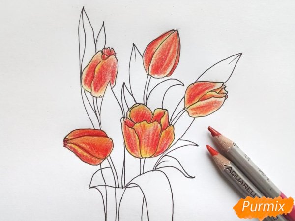 Тюльпаны карандашом легко