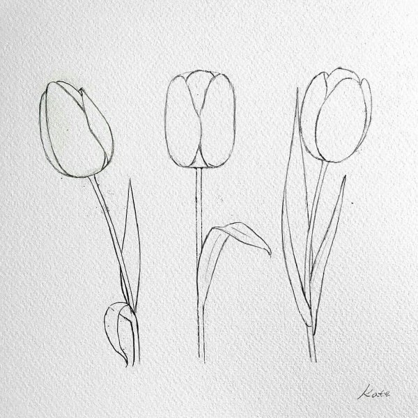 Тюльпаны в вазе рисунок для детей