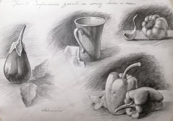 Академический рисунок карандашом