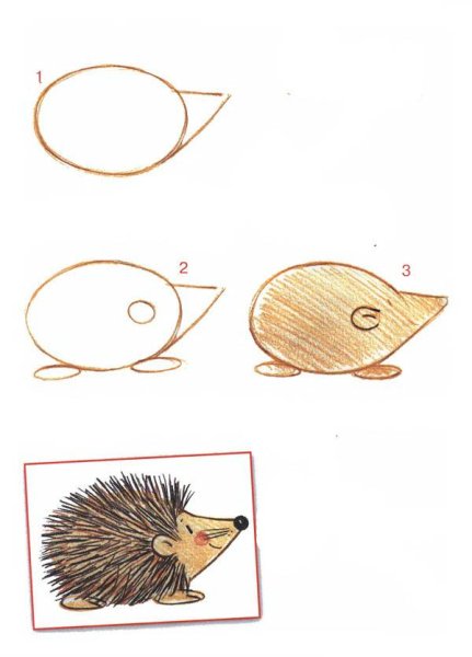 Как нарисовать ежика поэтапно для детей