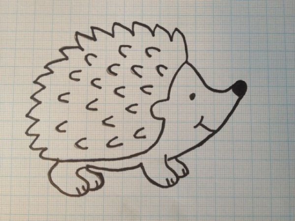 Еж раскраска