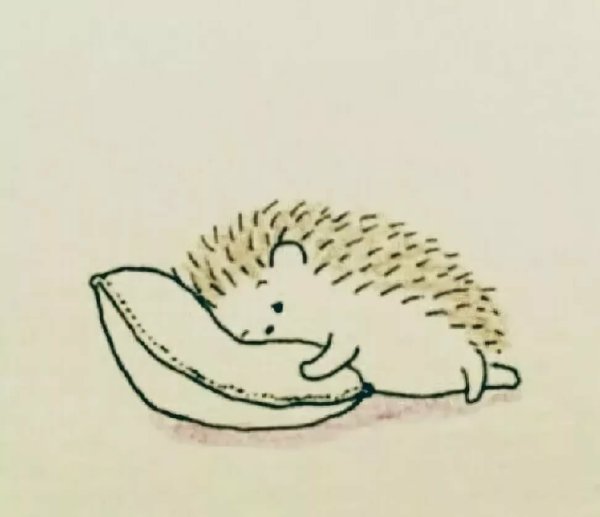 Поэтапный рисунок ежа