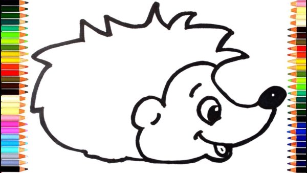 Ежик карандашом