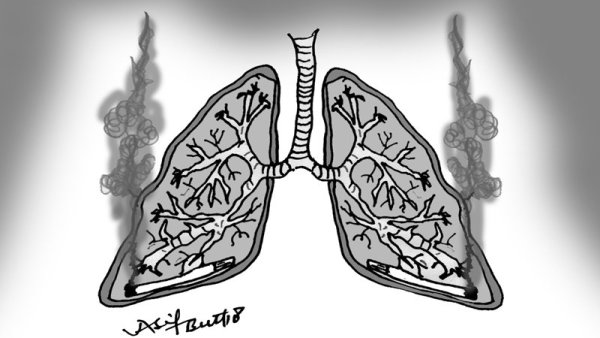 Раскраска лёгкие человека