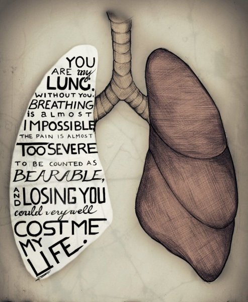 Легкие курильщика рисунок