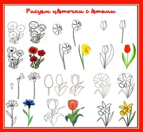 Клумба рисунок