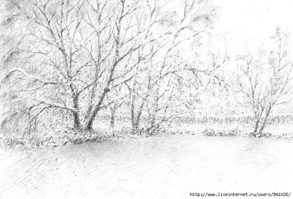 Зимний лес карандашом