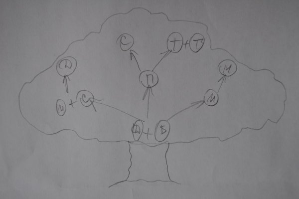 Семейное дерево рисунок карандашом