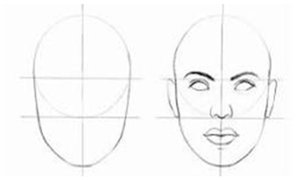 Поэтапное рисование лица для начинающих