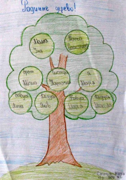 Нарисовать родословное дерево