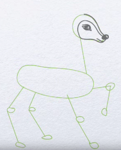 Олень раскраска для детей