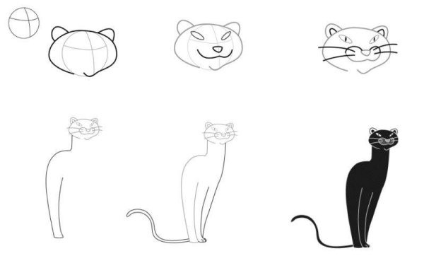 Как нарисовать пантеру