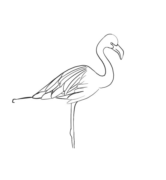 Фламинго срисовать легко