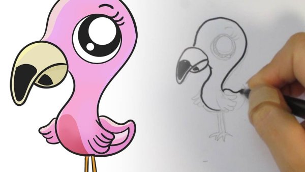 Фламинго рисунок поэтапно