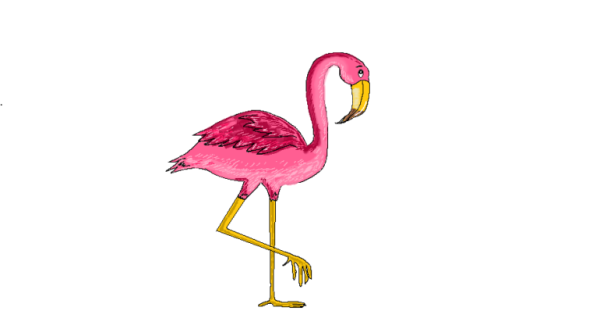 Фламинго рисунок карандашом для срисовки