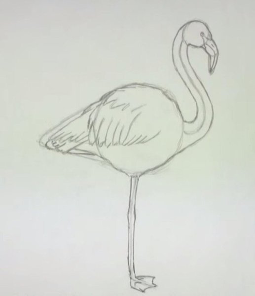Поэтапное рисование Фламинго