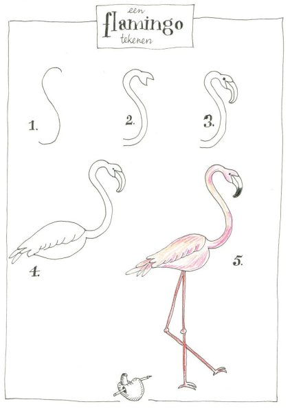 Пошаговое рисование Фламинго