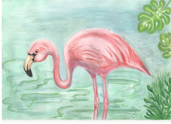 Фламинго простым карандашом