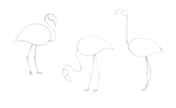 Фламинго рисунок карандашом поэтапно