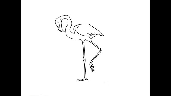 Пошаговое рисование Фламинго